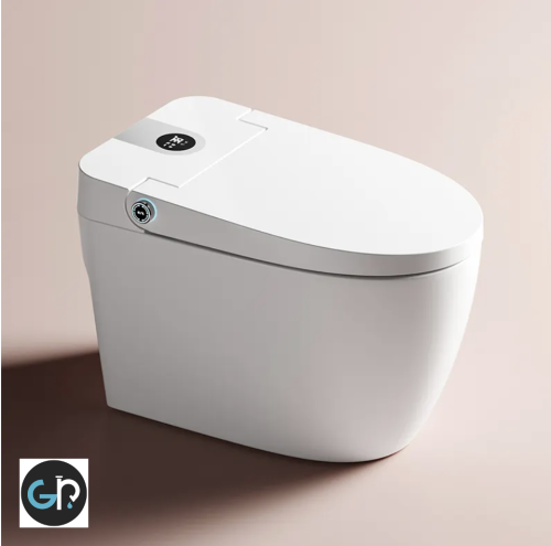 Bathroom smart toilet 110V/220V 